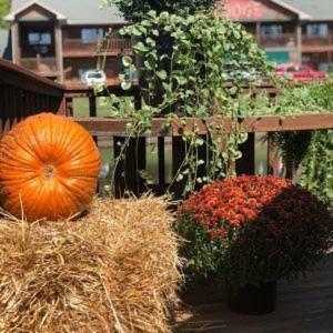 Bullwinkles Rustic Lodge Poplar Bluff Exterior foto